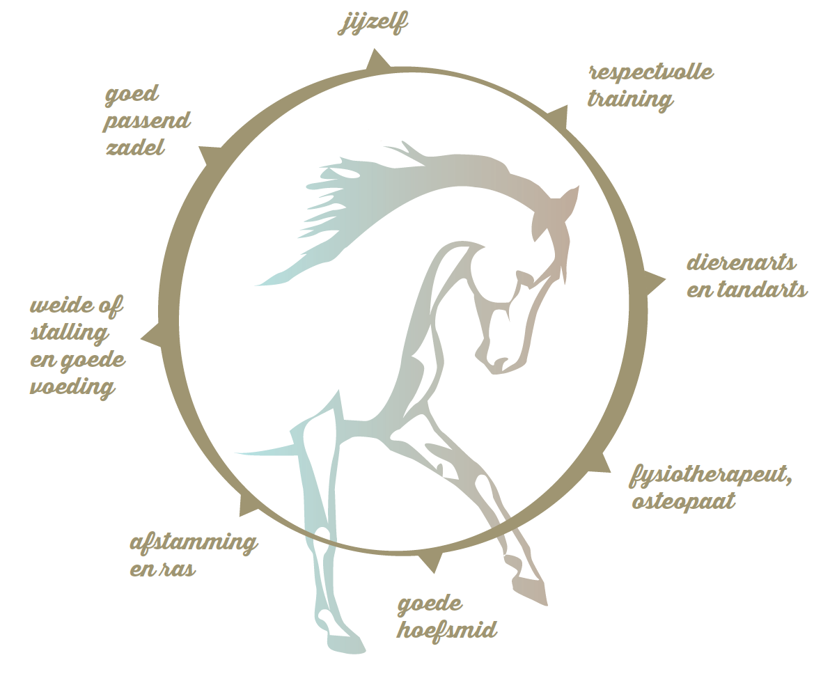 8 voorwaarden voor paardenwelzijn