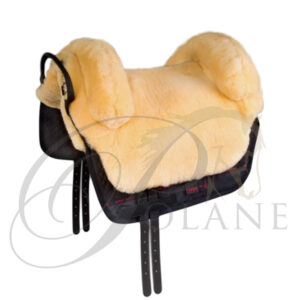 Christ Bareback Iberica plus